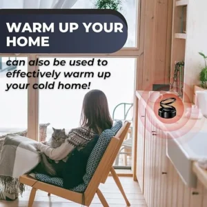 TIMNAMY Car Defroster